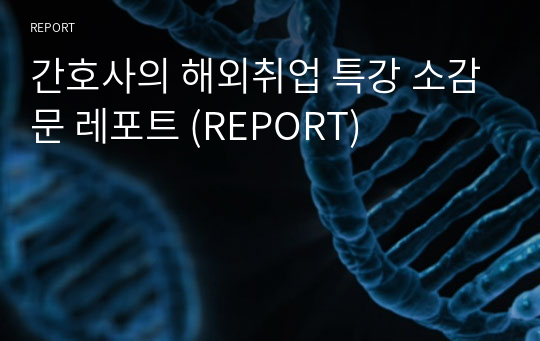 간호사의 해외취업 특강 소감문 레포트 (REPORT) (A+)