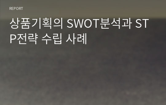 상품기획의 SWOT분석과 STP전략 수립 사례