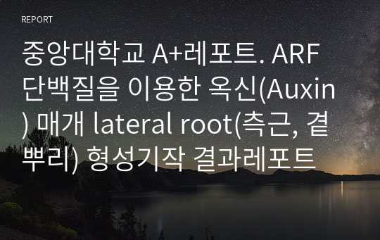 중앙대학교 A+레포트. ARF단백질을 이용한 옥신(Auxin) 매개 lateral root(측근, 곁뿌리) 형성기작 결과레포트