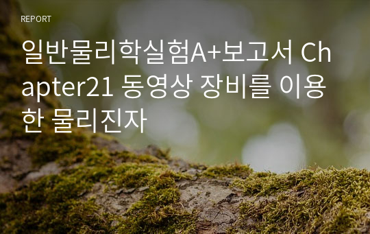 일반물리학실험A+보고서 Chapter21 동영상 장비를 이용한 물리진자