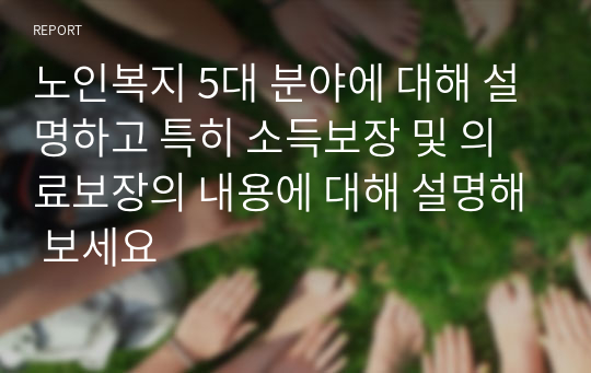 노인복지 5대 분야에 대해 설명하고 특히 소득보장 및 의료보장의 내용에 대해 설명해 보세요