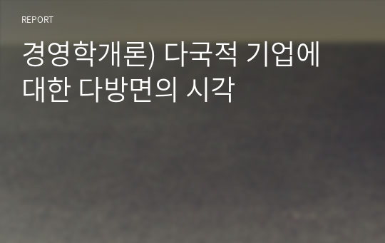 경영학개론) 다국적 기업에 대한 다방면의 시각