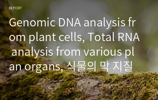 Genomic DNA analysis from plant cells, Total RNA analysis from various plan organs, 식물의 막 지질의 추출 및 분리