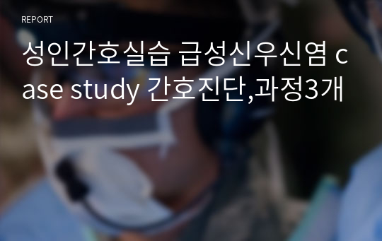 성인간호실습 급성신우신염 case study 간호진단,과정3개