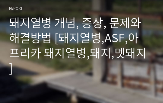 돼지열병 개념, 증상, 문제와 해결방법 [돼지열병,ASF,아프리카 돼지열병,돼지,멧돼지]