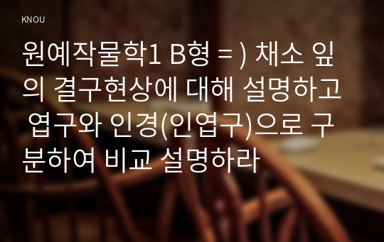 원예작물학1 B형 = ) 채소 잎의 결구현상에 대해 설명하고 엽구와 인경(인엽구)으로 구분하여 비교 설명하라