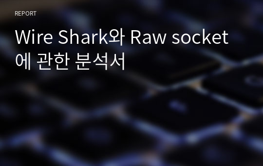 Wire Shark와 Raw socket에 관한 분석서