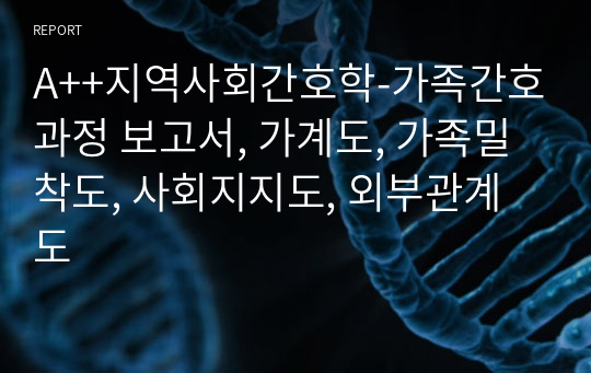 A++지역사회간호학-가족간호과정 보고서, 가계도, 가족밀착도, 사회지지도, 외부관계도