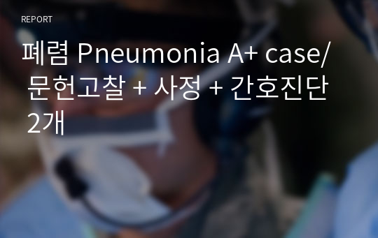 [성인간호학 A+] Pneumonia 폐렴 케이스 문헌고찰 간호진단 및 사정 2개