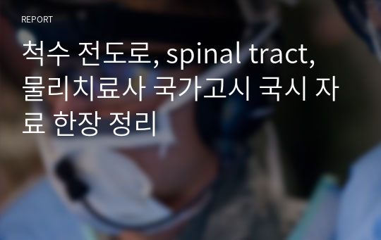 척수 전도로, spinal tract, 물리치료사 국가고시 국시 자료 한장 정리