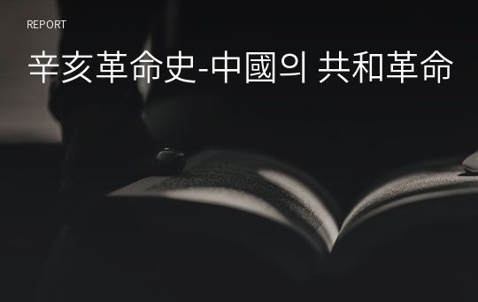辛亥革命史-中國의 共和革命