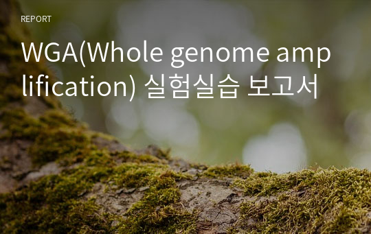WGA(Whole genome amplification) 실험실습 보고서