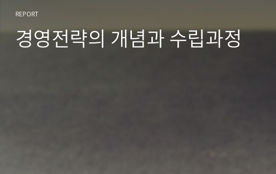 경영전략의 개념과 수립과정