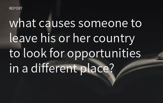 what causes someone to leave his or her country to look for opportunities in a different place?