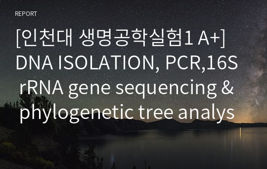 [인천대 생명공학실험1 A+] DNA ISOLATION, PCR,16S rRNA gene sequencing &amp; phylogenetic tree analysis 실험결과 보고서