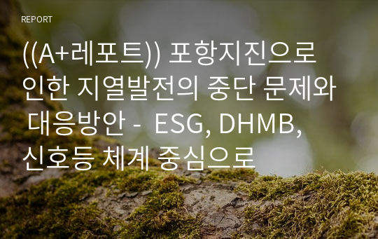 ((A+레포트)) 포항지진으로 인한 지열발전의 중단 문제와 대응방안 -  ESG, DHMB, 신호등 체계 중심으로