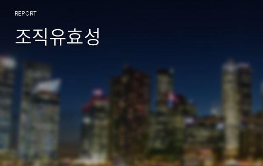 조직유효성