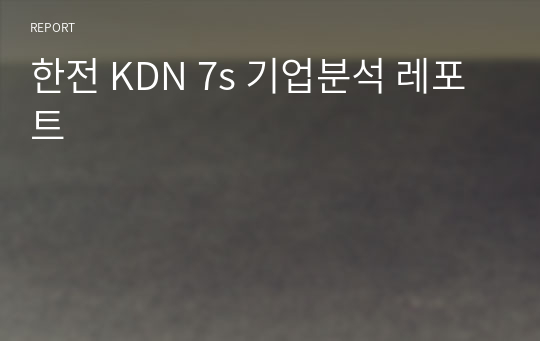 한전 KDN 7s 기업분석 레포트