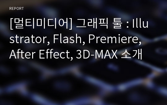 [멀티미디어] 그래픽 툴 : Illustrator, Flash, Premiere, After Effect, 3D-MAX 소개