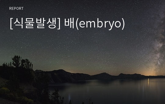 [식물발생] 배(embryo)