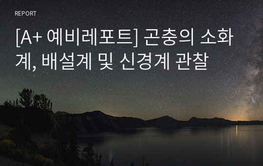 [A+ 예비레포트] 곤충의 소화계, 배설계 및 신경계 관찰