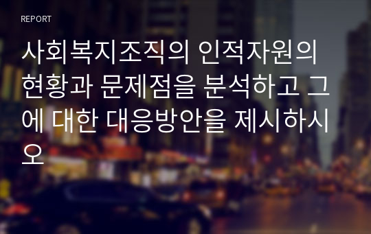 사회복지조직의 인적자원의 현황과 문제점을 분석하고 그에 대한 대응방안을 제시하시오