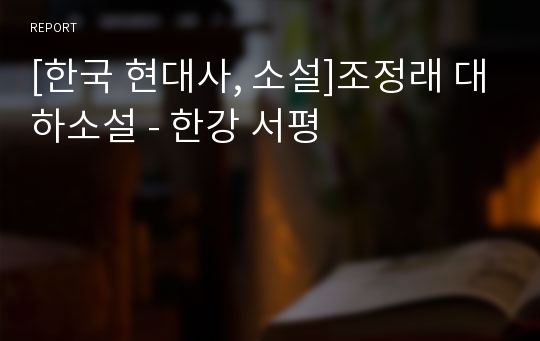 [한국 현대사, 소설]조정래 대하소설 - 한강 서평