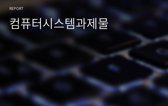 컴퓨터시스템과제물