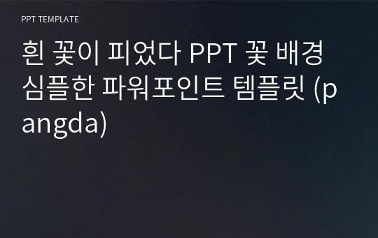 흰 꽃이 피었다 PPT 꽃 배경 심플한 파워포인트 템플릿 (pangda)