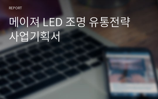메이져 LED 조명 유통전략 사업기획서
