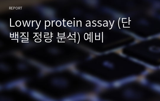 Lowry protein assay (단백질 정량 분석) 예비