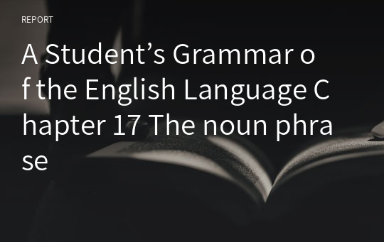 A Student’s Grammar of the English Language Chapter 17 The noun phrase