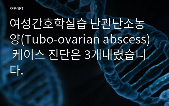 여성간호학실습 난관난소농양(Tubo-ovarian abscess) 케이스 진단은 3개내렸습니다.