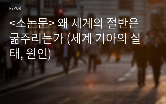 &lt;소논문&gt; 왜 세계의 절반은 굶주리는가 (세계 기아의 실태, 원인)