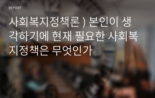 사회복지정책론 ) 본인이 생각하기에 현재 필요한 사회복지정책은 무엇인가