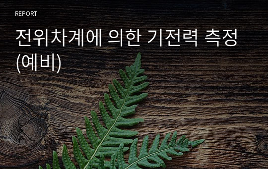 전위차계에 의한 기전력 측정(예비)