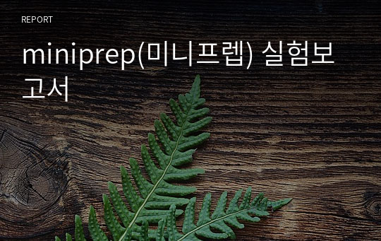 miniprep(미니프렙) 실험보고서