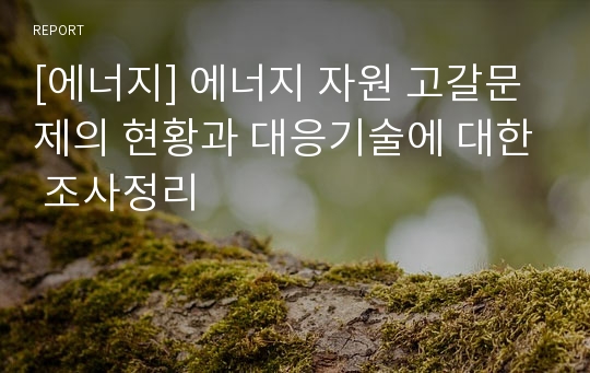 [에너지] 에너지 자원 고갈문제의 현황과 대응기술에 대한 조사정리