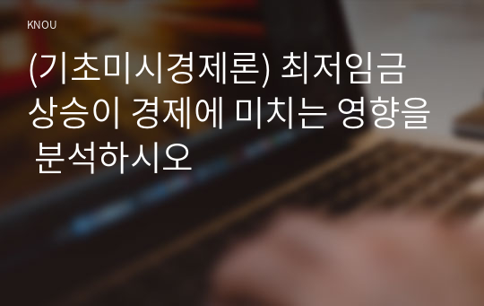 (기초미시경제론) 최저임금 상승이 경제에 미치는 영향을 분석하시오