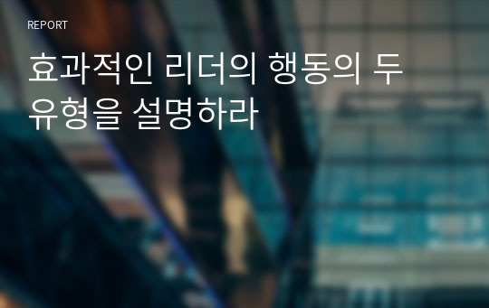 효과적인 리더의 행동의 두 유형을 설명하라