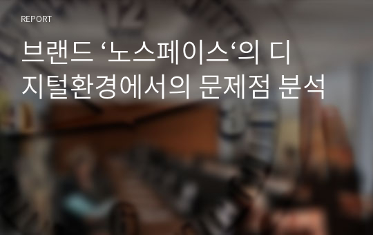 브랜드 ‘노스페이스‘의 디지털환경에서의 문제점 분석