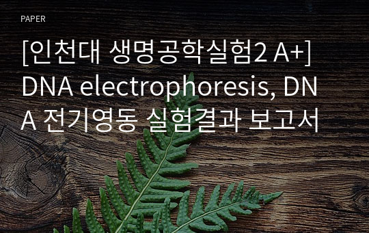 [인천대 생명공학실험2 A+] DNA electrophoresis, DNA 전기영동 실험결과 보고서
