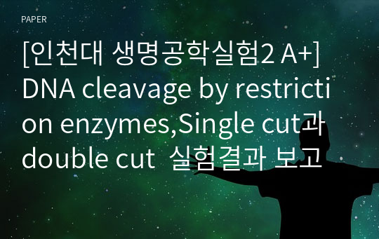 [인천대 생명공학실험2 A+] DNA cleavage by restriction enzymes,Single cut과 double cut  실험결과 보고서
