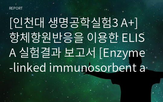 [인천대 생명공학실험3 A+] 항체항원반응을 이용한 ELISA 실험결과 보고서 [Enzyme-linked immunosorbent assay]