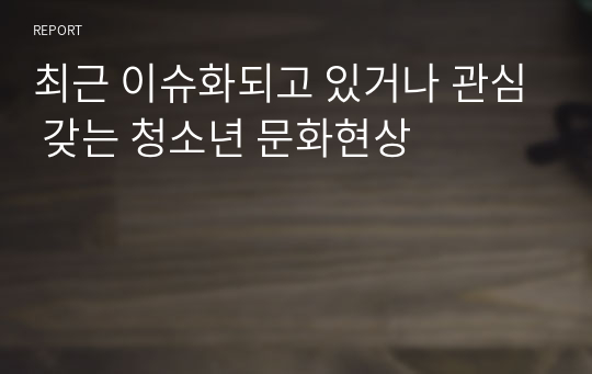 최근 이슈화되고 있거나 관심 갖는 청소년 문화현상