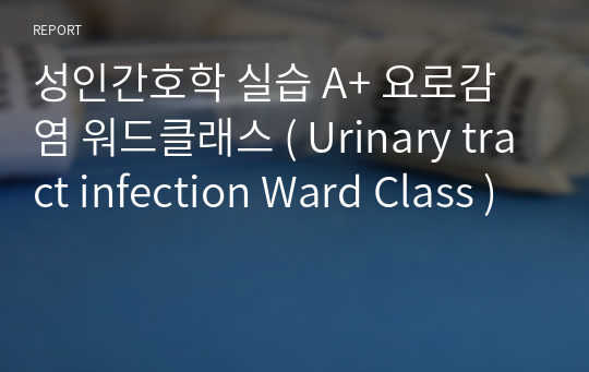 성인간호학 실습 A+ 요로감염 워드클래스 ( Urinary tract infection Ward Class )
