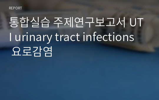 통합실습 주제연구보고서 UTI urinary tract infections 요로감염