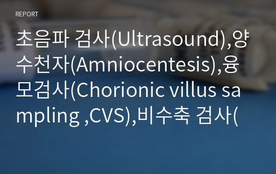 초음파 검사(Ultrasound),양수천자(Amniocentesis),융모검사(Chorionic villus sampling ,CVS),비수축 검사(Nonsdtress test ,NST)