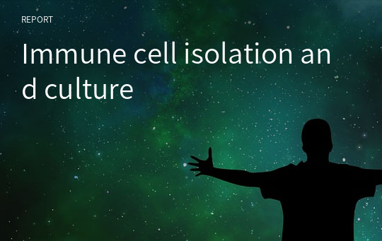 Immune cell isolation and culture