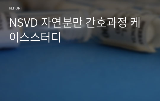 NSVD 자연분만 간호과정 케이스스터디